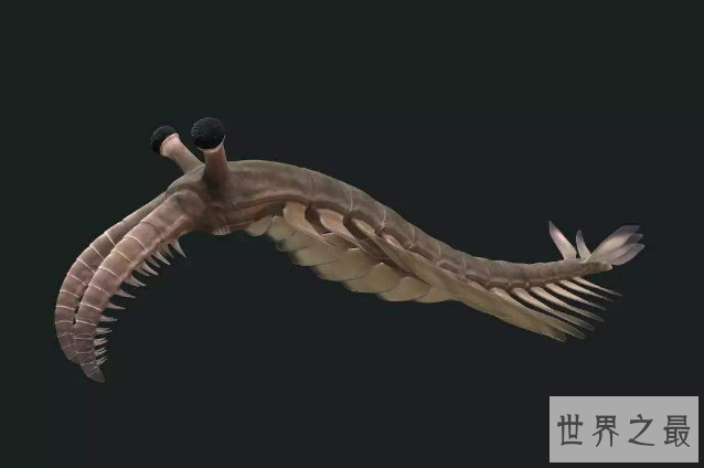 世界十大灭绝生物 史前生物霸王龙上榜，你认识几个