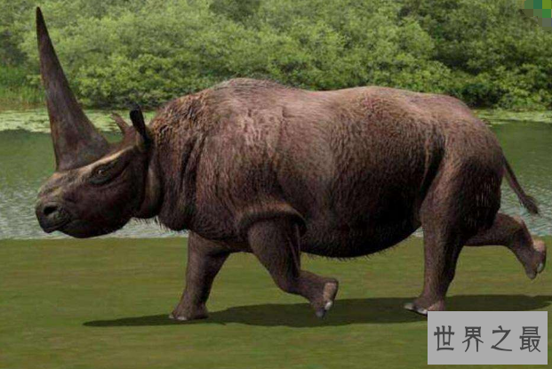 世界十大灭绝生物 史前生物霸王龙上榜，你认识几个