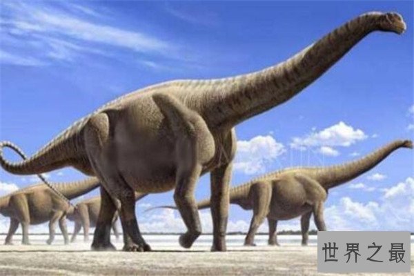 世界十大最大动物 鸵鸟上榜，易碎双腔龙比蓝鲸还长