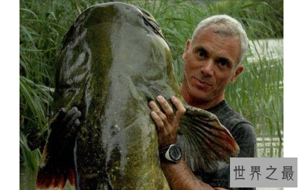 世界最凶猛的十大淡水鱼 第一能咬断人的手指，第五力大无穷