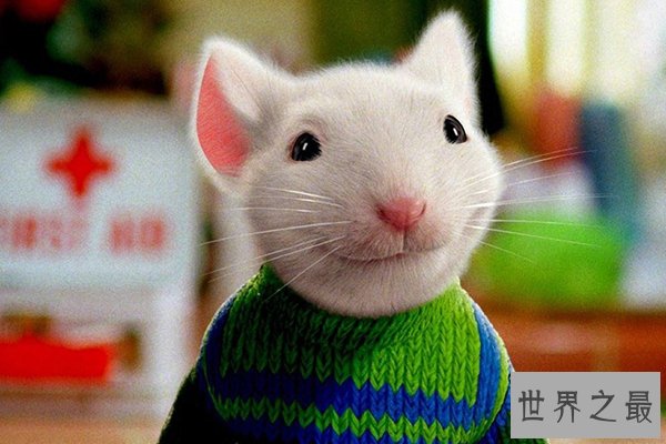 世界上十大动物明星