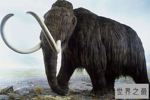 七大史前动物
