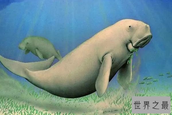 世界十大濒危物种