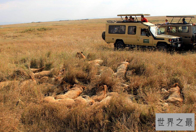 世界野生动物园排名 第一名为世界遗产，你去过吗