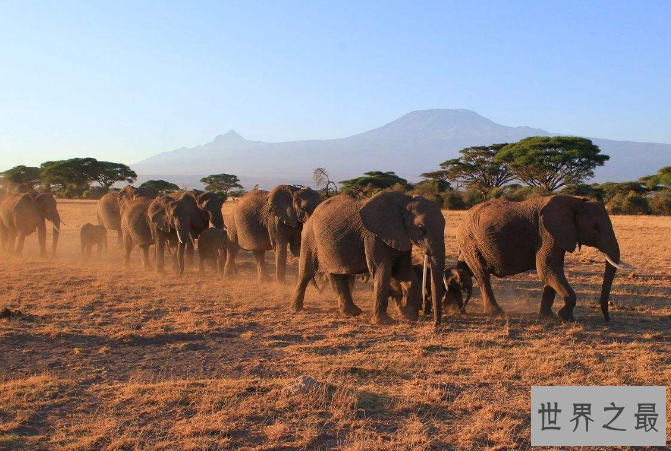 世界野生动物园排名 第一名为世界遗产，你去过吗