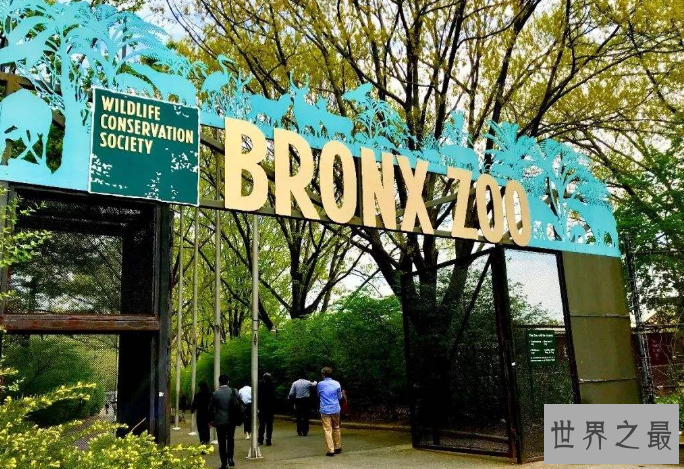 全球七大动物园排名 圣地亚哥动物园美国最大,第二无栅栏
