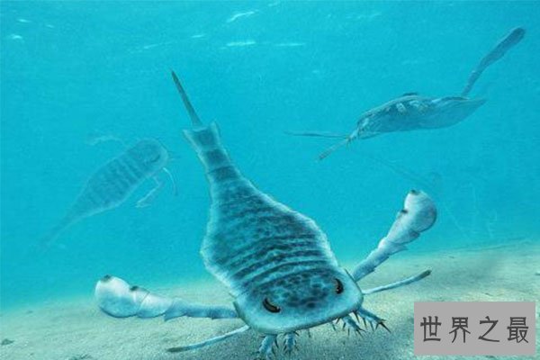 十大灭绝恐怖动物名单，所幸都已经成为化石