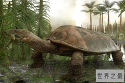 十大灭绝恐怖动物名单，所幸都已经成为化石