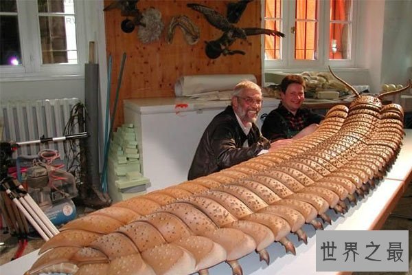 十大灭绝恐怖动物名单，所幸都已经成为化石