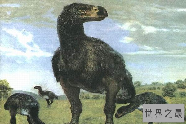 十大灭绝的可怕生物排名，一起看完，不要怂