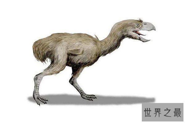 十大灭绝的可怕生物排名，一起看完，不要怂