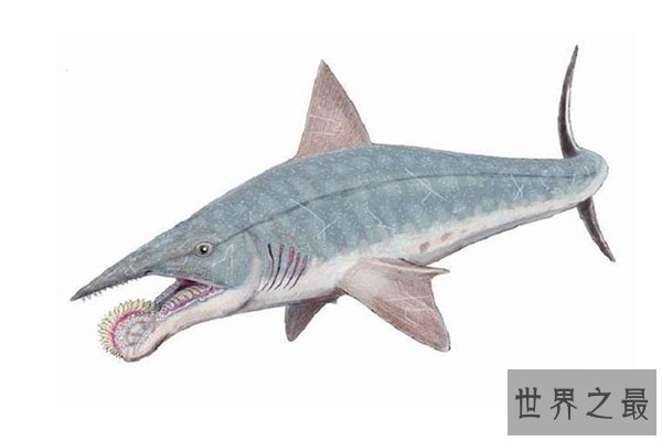 十大灭绝的可怕生物排名，一起看完，不要怂