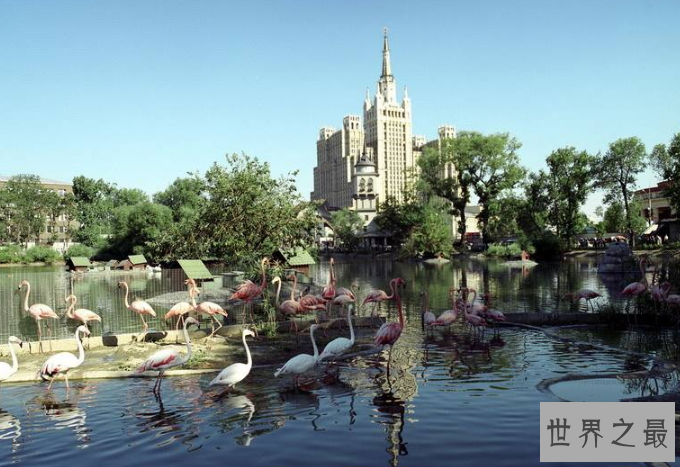 世界最大的动物园排名 第一名来自德国,北京动物园位列第四