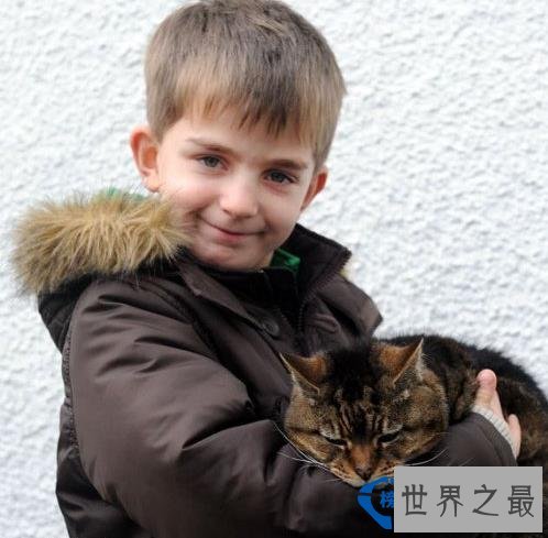 【世界上年龄最大的猫】世界上活的最久的猫