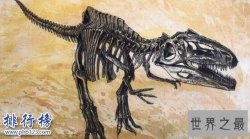 史上最强恐龙排行榜前十，霸王龙仅第3第1凶猛无比