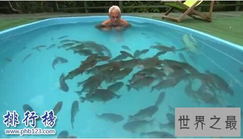 世界十大最危险的鱼,第六喜欢吃人肉,第五国内常见