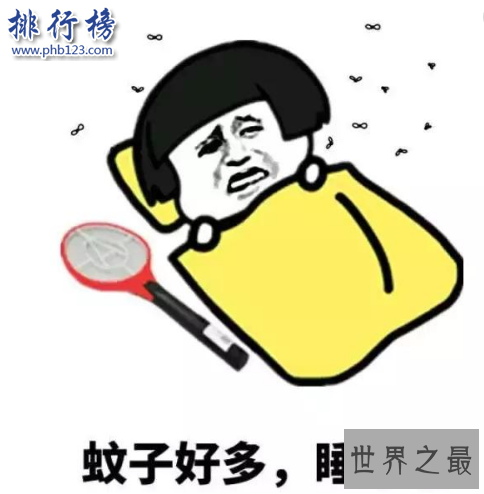 世界最大的蚊子吃人:这种蚊子咬死40几人,小孩都没放过