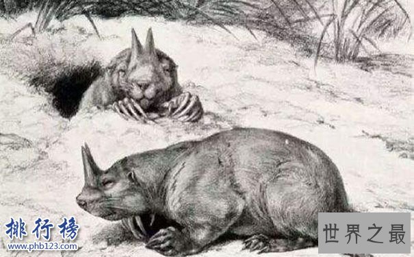 已灭绝的十大巨怪:咬合力媲美霸王龙的鱼(9米长4吨重)