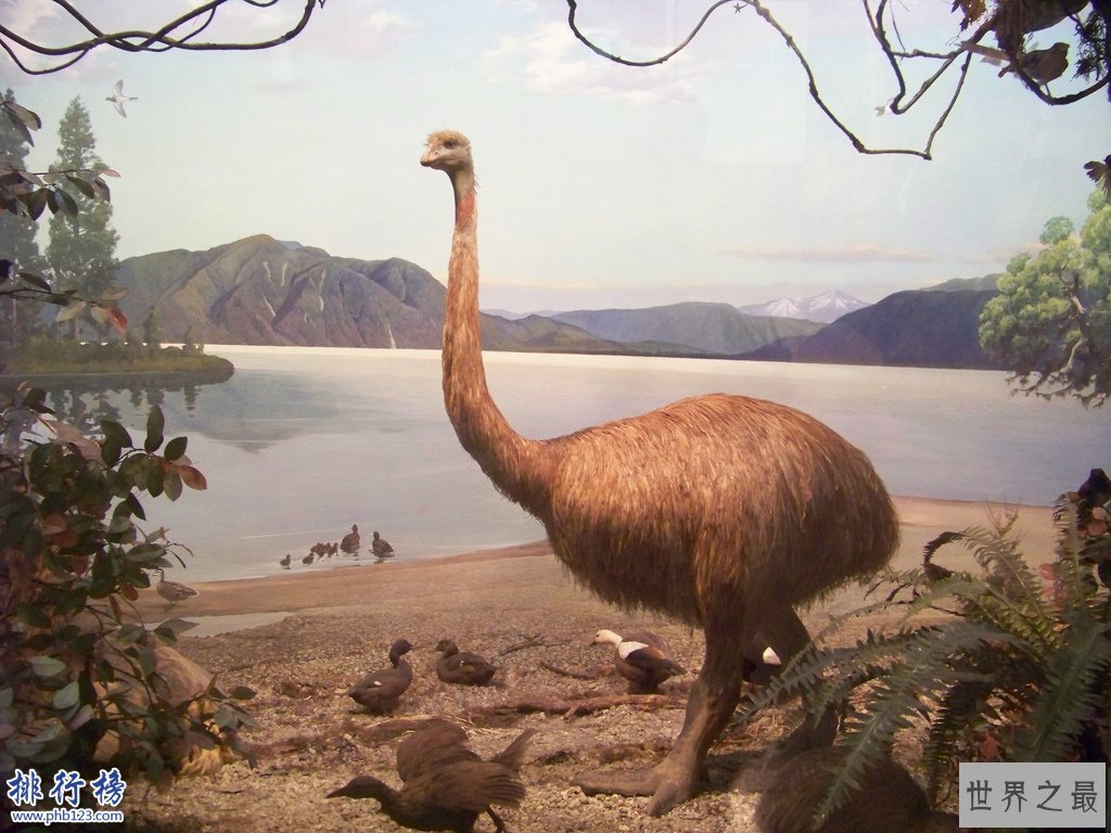 已灭绝的十大巨怪:咬合力媲美霸王龙的鱼(9米长4吨重)