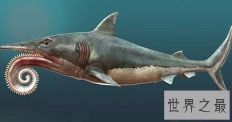 已灭绝的十大巨怪:咬合力媲美霸王龙的鱼(9米长4吨重)