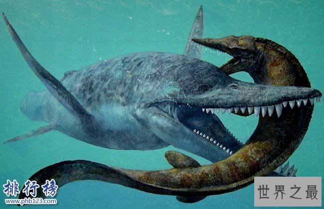 已灭绝的十大巨怪:咬合力媲美霸王龙的鱼(9米长4吨重)