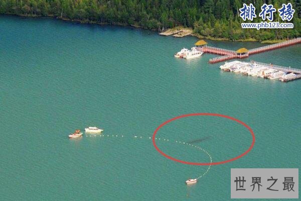 新疆喀纳斯湖水怪之谜真相大白,疑似15米32吨的巨型哲罗鲑(视频)