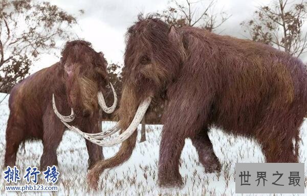 世界十大已经灭绝的动物 已灭绝的动物名录大全(图片)