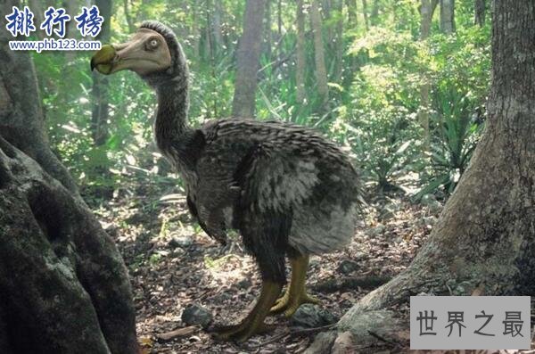 世界十大已经灭绝的动物 已灭绝的动物名录大全(图片)