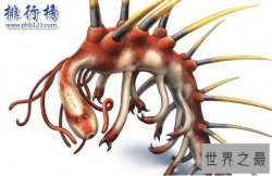 寒武纪十大恐怖生物：奇虾成地球霸主 恐龙是它晚辈