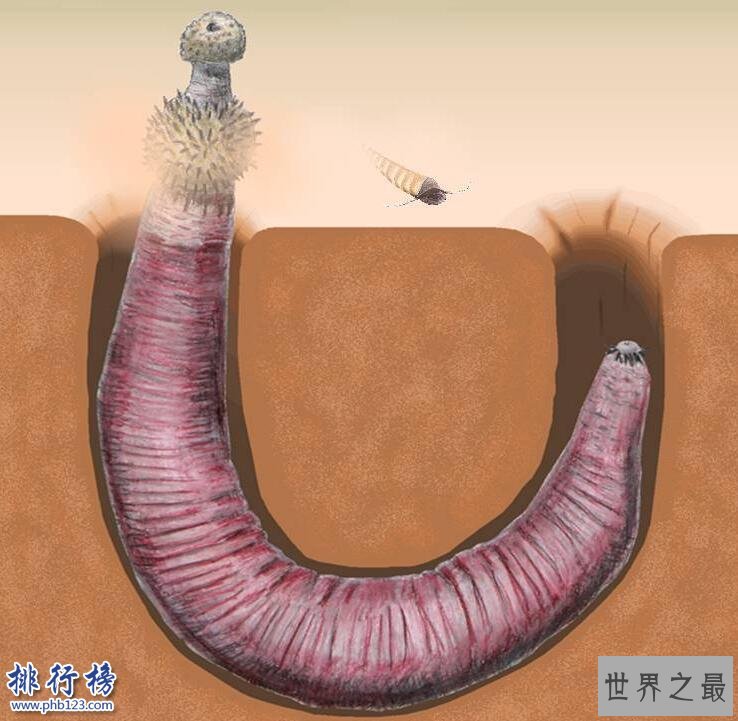 寒武纪十大恐怖生物：奇虾成地球霸主 恐龙是它晚辈