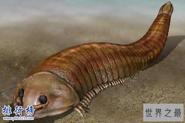 寒武纪十大恐怖生物：奇虾成地球霸主 恐龙是它晚辈