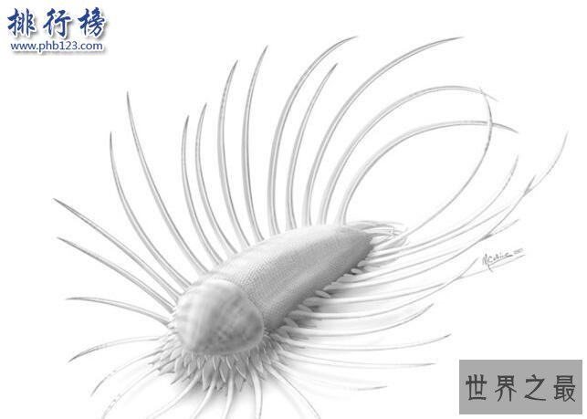 寒武纪十大恐怖生物：奇虾成地球霸主 恐龙是它晚辈