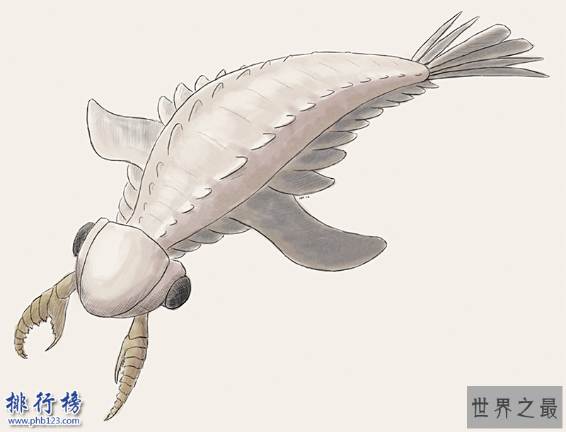 寒武纪十大恐怖生物：奇虾成地球霸主 恐龙是它晚辈