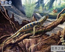 石炭纪十大恐怖生物 揭晓石炭纪生物大灭绝真相