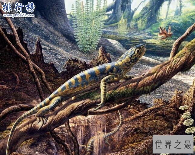 石炭纪十大恐怖生物 揭晓石炭纪生物大灭绝真相