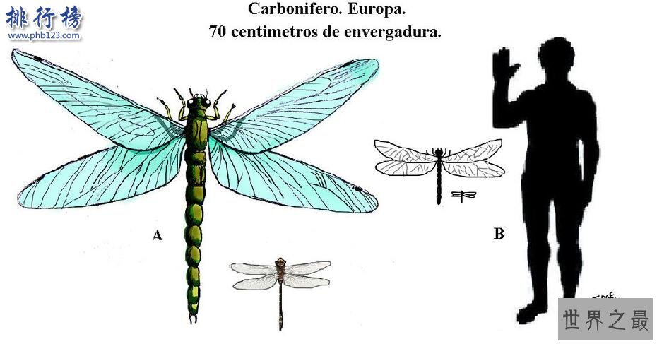 石炭纪十大恐怖生物 揭晓石炭纪生物大灭绝真相