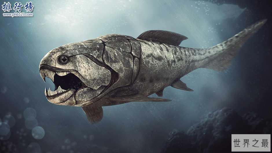 泥盆纪十大恐怖生物 揭开泥盆纪生物大灭绝的原因