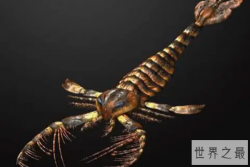 奥陶纪十大恐怖生物 揭秘奥陶纪生物大灭绝原因