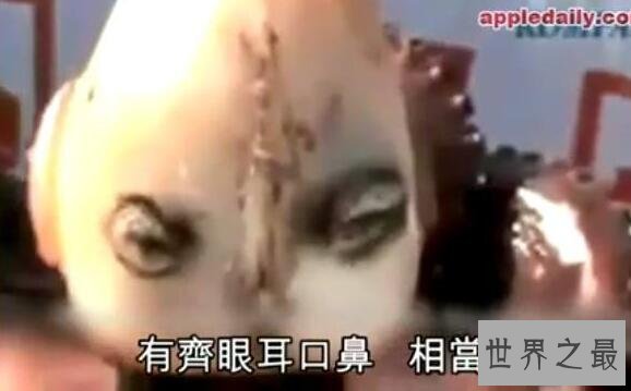 印尼章鱼人是真的吗?人头章鱼竟然发出婴儿啼哭声