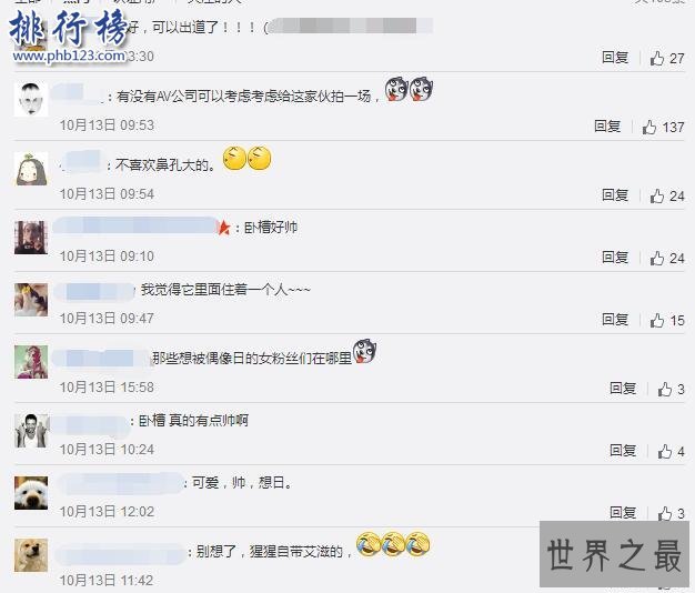 日本史上最帅大猩猩沙巴尼 女粉最多 网友：可以出道了