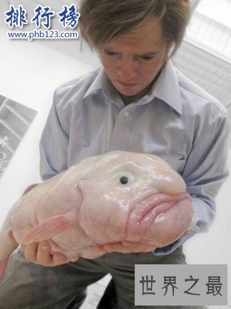 世界上最丑的蛇：巴西盲蛇形似男性生殖器(图片恶心慎入)