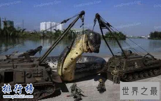 世界上最长的蛇是什么蛇，红海巨蛇长达500米