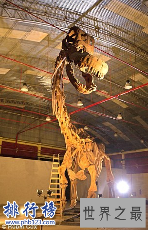 世界上最大的恐龙化石：泰坦巨龙身长40米重77吨(相当于14头大象)