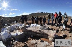 世界上最大的恐龙化石：泰坦巨龙身长40米重77吨(相当于14头大象)