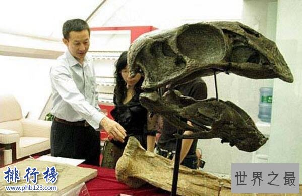 世界上最大的恐龙化石：泰坦巨龙身长40米重77吨(相当于14头大象)