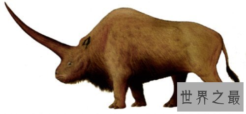 史前最危险的十大巨兽,骇鸟是种食肉型鸟类(也叫恐怖鸟)