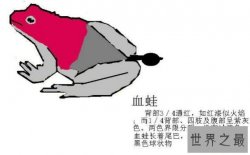 世界上唯一会咬人的青蛙,食人蛙（一切源自于环境污染）