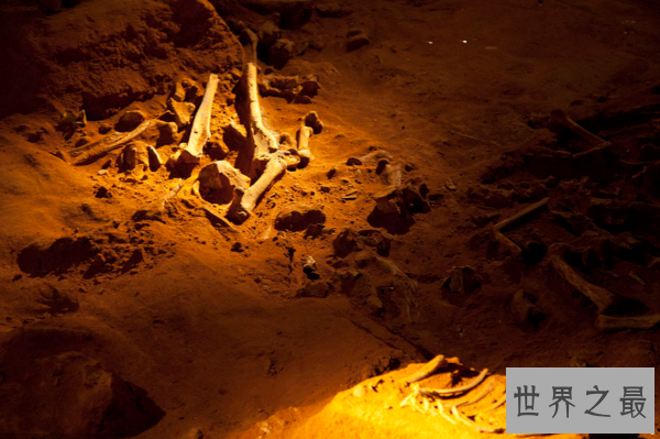 世界上的彩虹蛇,沃那比蛇(创造了澳大利亚的主要景色)