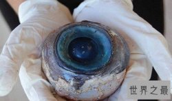 世界上最大的眼球：巨型鱿鱼（直径长达25厘米）