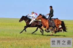 马的奔跑时速是多少?时速高达50公里